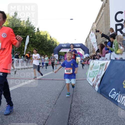 06.09.2026 - CURREX Alsterlauf Yannick Fuchs http://msf.ph/oto/10228554 06.09.2026 10:53:48 Ziel 154, 164, 169, 177, 214, 219, 257, 259, 286, 320, 354, 362, 389, 401, 404, 422, 442, 8094, 8101, 8112, 8123, 8196, 8221, 8252 meine-sportfotos.de