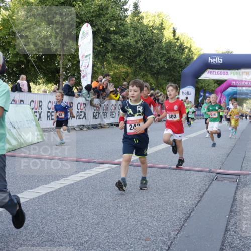 06.09.2026 - CURREX Alsterlauf Yannick Fuchs http://msf.ph/oto/10228573 06.09.2026 10:53:57 Ziel 172, 177, 185, 203, 208, 216, 218, 221, 243, 292, 302, 320, 334, 354, 362, 389, 404, 418, 422, 443, 8101, 8112, 8196, 8221, 8252 meine-sportfotos.de
