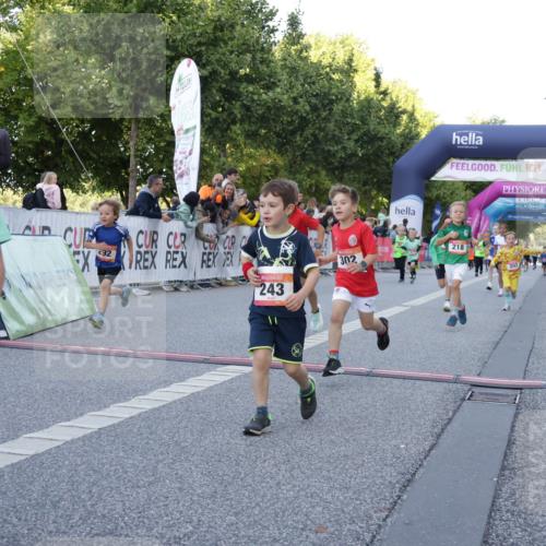 06.09.2026 - CURREX Alsterlauf Yannick Fuchs http://msf.ph/oto/10228574 06.09.2026 10:53:57 Ziel 172, 177, 185, 203, 208, 216, 218, 221, 243, 292, 302, 320, 334, 354, 362, 389, 404, 418, 422, 443, 8101, 8112, 8196, 8221, 8252 meine-sportfotos.de