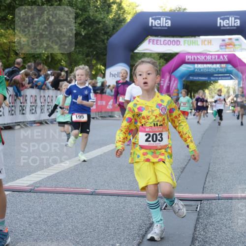 06.09.2026 - CURREX Alsterlauf Yannick Fuchs http://msf.ph/oto/10228580 06.09.2026 10:54:01 Ziel 157, 172, 185, 195, 202, 203, 208, 216, 218, 221, 243, 256, 292, 296, 302, 321, 334, 364, 379, 414, 418, 443 meine-sportfotos.de