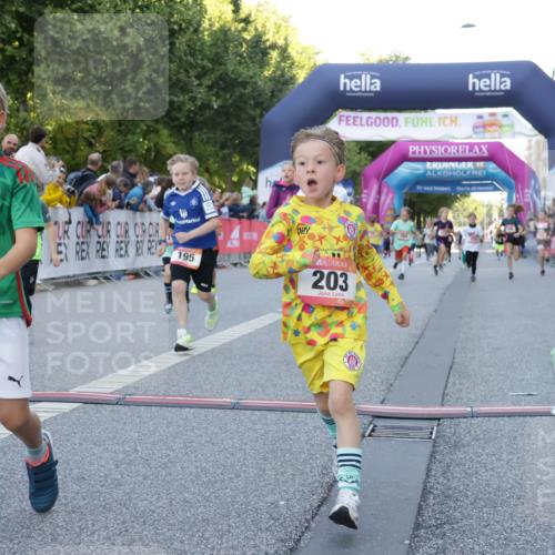 06.09.2026 - CURREX Alsterlauf Yannick Fuchs http://msf.ph/oto/10228581 06.09.2026 10:54:01 Ziel 157, 172, 185, 195, 202, 203, 208, 216, 218, 221, 243, 256, 292, 296, 302, 321, 334, 364, 379, 414, 418, 443 meine-sportfotos.de