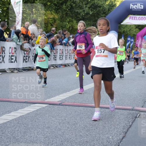 06.09.2026 - CURREX Alsterlauf Yannick Fuchs http://msf.ph/oto/10228584 06.09.2026 10:54:02 Ziel 157, 172, 195, 202, 203, 216, 218, 221, 243, 256, 260, 292, 296, 302, 321, 334, 364, 379, 414, 418, 443 meine-sportfotos.de