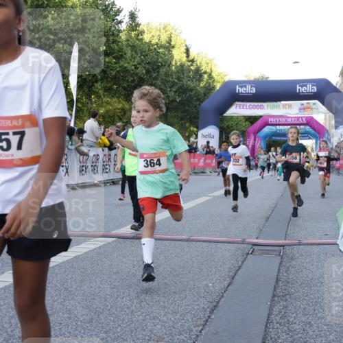 06.09.2026 - CURREX Alsterlauf Yannick Fuchs http://msf.ph/oto/10228592 06.09.2026 10:54:04 Ziel 157, 195, 201, 202, 203, 216, 218, 221, 243, 256, 260, 292, 296, 302, 312, 321, 364, 379, 414, 443, 455, 8253 meine-sportfotos.de