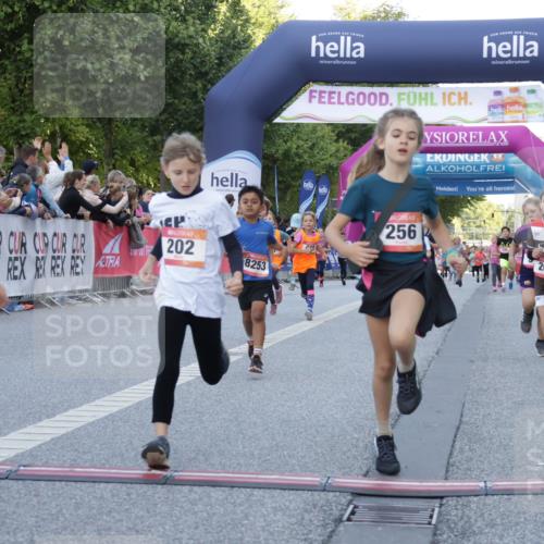 06.09.2026 - CURREX Alsterlauf Yannick Fuchs http://msf.ph/oto/10228594 06.09.2026 10:54:05 Ziel 157, 195, 201, 202, 203, 216, 218, 221, 256, 260, 292, 296, 302, 312, 321, 364, 379, 414, 416, 443, 446, 455, 8253 meine-sportfotos.de
