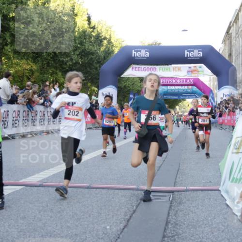 06.09.2026 - CURREX Alsterlauf Yannick Fuchs http://msf.ph/oto/10228596 06.09.2026 10:54:05 Ziel 157, 195, 201, 202, 203, 216, 218, 221, 256, 260, 292, 296, 302, 312, 321, 364, 379, 414, 416, 443, 446, 455, 8253 meine-sportfotos.de