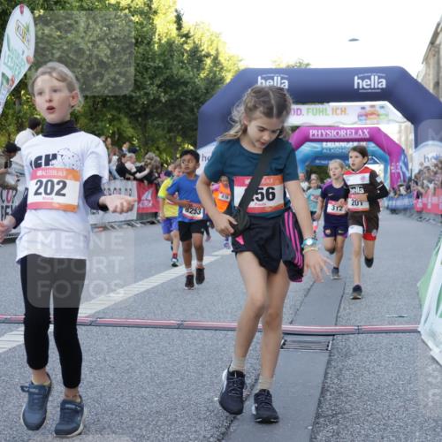06.09.2026 - CURREX Alsterlauf Yannick Fuchs http://msf.ph/oto/10228600 06.09.2026 10:54:06 Ziel 157, 195, 201, 202, 203, 216, 218, 221, 256, 260, 292, 296, 312, 321, 347, 364, 379, 414, 416, 443, 446, 455, 8253 meine-sportfotos.de