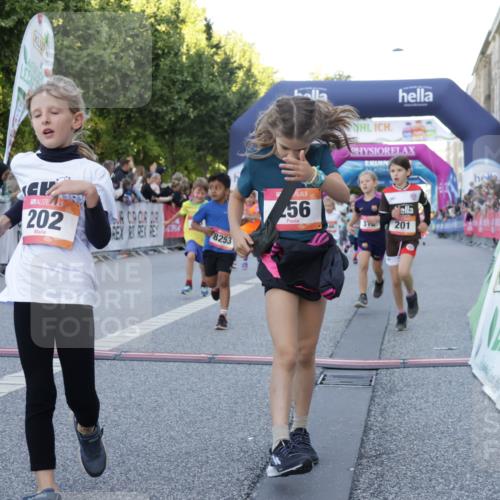 06.09.2026 - CURREX Alsterlauf Yannick Fuchs http://msf.ph/oto/10228601 06.09.2026 10:54:06 Ziel 157, 195, 201, 202, 203, 216, 218, 221, 256, 260, 292, 296, 312, 321, 347, 364, 379, 414, 416, 443, 446, 455, 8253 meine-sportfotos.de
