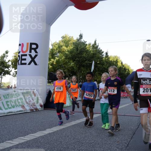 06.09.2026 - CURREX Alsterlauf Yannick Fuchs http://msf.ph/oto/10228606 06.09.2026 10:54:10 Ziel 157, 195, 201, 202, 206, 256, 258, 260, 276, 283, 296, 300, 312, 321, 347, 364, 379, 414, 416, 446, 455, 8113, 8253 meine-sportfotos.de