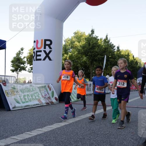 06.09.2026 - CURREX Alsterlauf Yannick Fuchs http://msf.ph/oto/10228607 06.09.2026 10:54:10 Ziel 157, 195, 201, 202, 206, 256, 258, 260, 276, 283, 296, 300, 312, 321, 347, 364, 379, 414, 416, 446, 455, 8113, 8253 meine-sportfotos.de