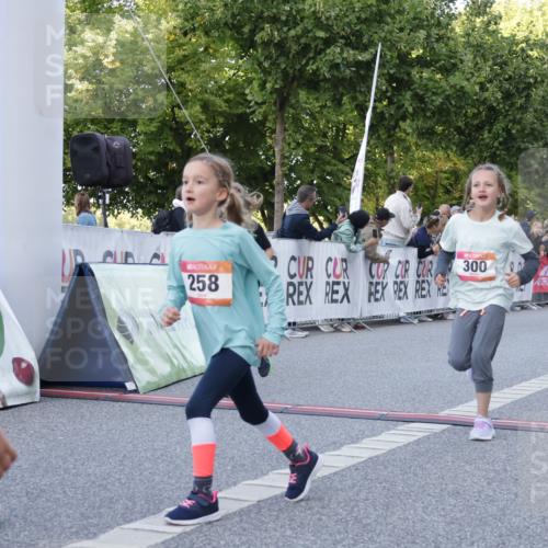 06.09.2026 - CURREX Alsterlauf Yannick Fuchs http://msf.ph/oto/10228615 06.09.2026 10:54:13 Ziel 201, 202, 206, 256, 258, 260, 270, 276, 283, 300, 312, 321, 347, 416, 417, 436, 440, 446, 449, 455, 8113, 8174, 8253 meine-sportfotos.de