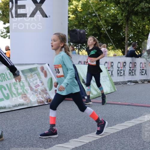 06.09.2026 - CURREX Alsterlauf Yannick Fuchs http://msf.ph/oto/10228616 06.09.2026 10:54:13 Ziel 201, 202, 206, 256, 258, 260, 270, 276, 283, 300, 312, 321, 347, 416, 417, 436, 440, 446, 449, 455, 8113, 8174, 8253 meine-sportfotos.de