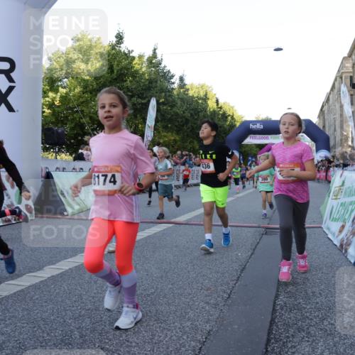 06.09.2026 - CURREX Alsterlauf Yannick Fuchs http://msf.ph/oto/10228630 06.09.2026 10:54:17 Ziel 206, 238, 258, 264, 270, 276, 283, 285, 300, 347, 365, 372, 399, 416, 417, 431, 436, 440, 444, 446, 449, 8087, 8113, 8174 meine-sportfotos.de
