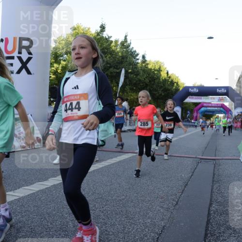 06.09.2026 - CURREX Alsterlauf Yannick Fuchs http://msf.ph/oto/10228642 06.09.2026 10:54:22 Ziel 179, 207, 238, 239, 240, 264, 270, 278, 283, 284, 285, 304, 318, 329, 357, 365, 372, 387, 390, 399, 417, 431, 436, 440, 444, 449, 8087, 8174 meine-sportfotos.de