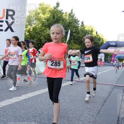 06.09.2026 - CURREX Alsterlauf Yannick Fuchs http://msf.ph/oto/10228643 06.09.2026 10:54:23 Ziel 179, 207, 238, 239, 240, 264, 270, 278, 284, 285, 304, 318, 329, 357, 365, 372, 387, 390, 399, 417, 431, 436, 440, 444, 449, 8087, 8174 meine-sportfotos.de