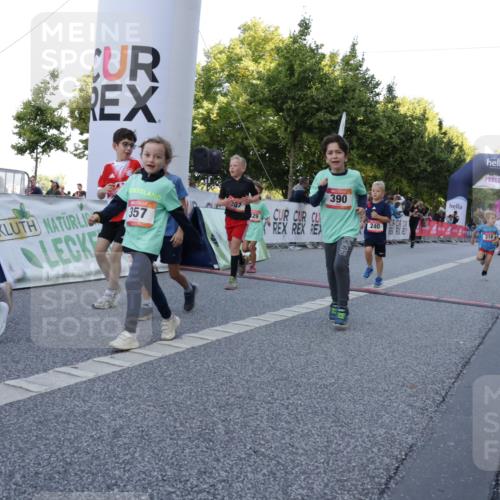 06.09.2026 - CURREX Alsterlauf Yannick Fuchs http://msf.ph/oto/10228649 06.09.2026 10:54:25 Ziel 162, 179, 207, 238, 239, 240, 264, 278, 284, 285, 304, 318, 329, 357, 361, 365, 372, 387, 390, 399, 431, 444, 456, 8087 meine-sportfotos.de