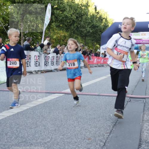 06.09.2026 - CURREX Alsterlauf Yannick Fuchs http://msf.ph/oto/10228653 06.09.2026 10:54:26 Ziel 162, 179, 207, 238, 239, 240, 264, 278, 284, 285, 304, 318, 326, 329, 333, 357, 361, 365, 372, 387, 390, 399, 431, 444, 456, 8087 meine-sportfotos.de