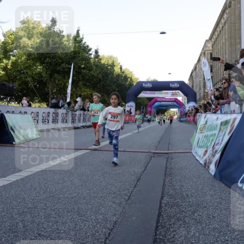 06.09.2026 - CURREX Alsterlauf Yannick Fuchs http://msf.ph/oto/10228676 06.09.2026 10:54:32 Ziel 162, 207, 240, 267, 297, 304, 318, 326, 329, 333, 343, 351, 361, 367, 387, 456, 8343 meine-sportfotos.de