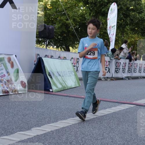 06.09.2026 - CURREX Alsterlauf Yannick Fuchs http://msf.ph/oto/10228714 06.09.2026 10:54:44 Ziel 212, 228, 229, 267, 328, 340, 345, 359, 382, 457 meine-sportfotos.de