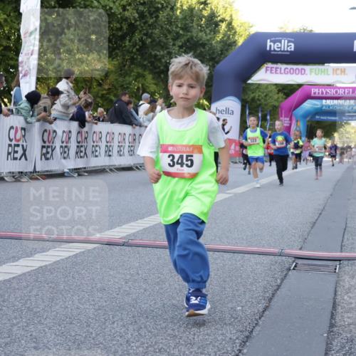 06.09.2026 - CURREX Alsterlauf Yannick Fuchs http://msf.ph/oto/10228719 06.09.2026 10:54:47 Ziel 228, 229, 315, 322, 328, 340, 345, 359, 382, 398, 423, 457, 8287 meine-sportfotos.de