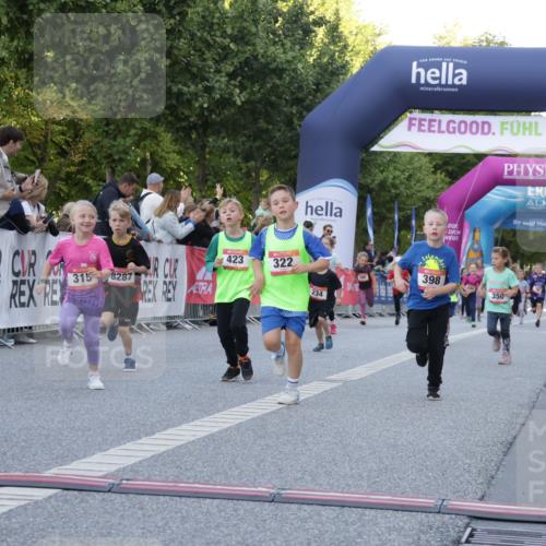 06.09.2026 - CURREX Alsterlauf Yannick Fuchs http://msf.ph/oto/10228722 06.09.2026 10:54:48 Ziel 228, 229, 315, 322, 328, 340, 345, 359, 382, 398, 423, 457, 8287 meine-sportfotos.de
