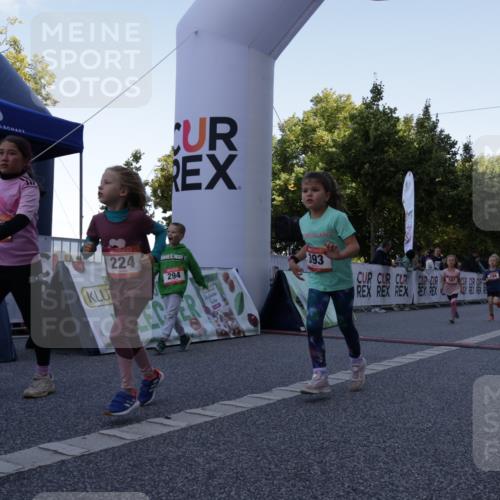 06.09.2026 - CURREX Alsterlauf Yannick Fuchs http://msf.ph/oto/10228761 06.09.2026 10:55:08 Ziel 163, 167, 194, 224, 261, 262, 294, 327, 393, 419, 421, 424, 427, 447, 453, 8095 meine-sportfotos.de