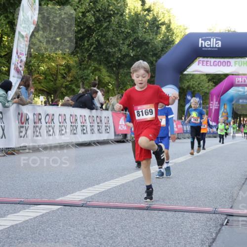 06.09.2026 - CURREX Alsterlauf Yannick Fuchs http://msf.ph/oto/10228819 06.09.2026 10:55:39 Ziel 166, 220, 237, 248, 295, 305, 335, 342, 344, 8169 meine-sportfotos.de