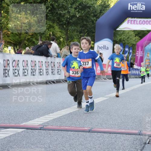 06.09.2026 - CURREX Alsterlauf Yannick Fuchs http://msf.ph/oto/10228821 06.09.2026 10:55:39 Ziel 166, 220, 237, 248, 295, 305, 335, 342, 344, 8169 meine-sportfotos.de