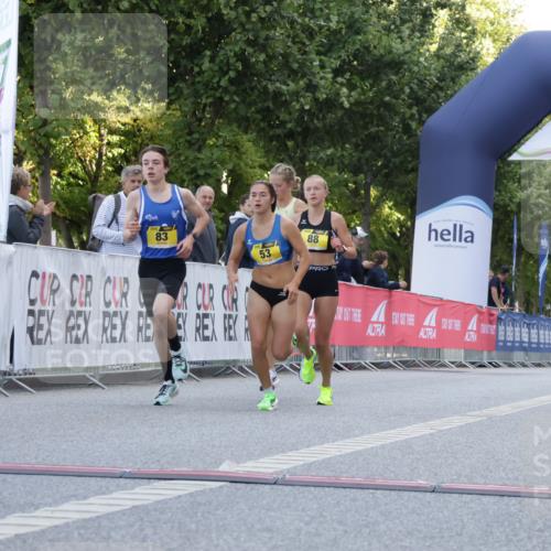 06.09.2026 - CURREX Alsterlauf Yannick Fuchs http://msf.ph/oto/10229081 06.09.2026 11:07:55 Ziel 53, 59, 77, 83, 85, 88 meine-sportfotos.de