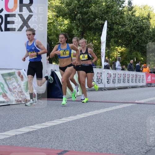 06.09.2026 - CURREX Alsterlauf Yannick Fuchs http://msf.ph/oto/10229084 06.09.2026 11:07:57 Ziel 53, 59, 77, 83, 85, 88 meine-sportfotos.de