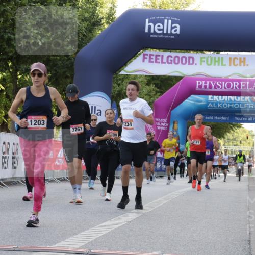 06.09.2026 - CURREX Alsterlauf Yannick Fuchs http://msf.ph/oto/10229406 06.09.2026 11:45:10 Ziel 1095, 1183, 1200, 1203, 1234, 1278, 1299, 1330, 8110, 8347 meine-sportfotos.de