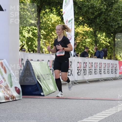 06.09.2026 - CURREX Alsterlauf Yannick Fuchs http://msf.ph/oto/10230196 06.09.2026 11:53:10 Ziel 1040, 1184, 1202, 1293, 4802, 8155 meine-sportfotos.de