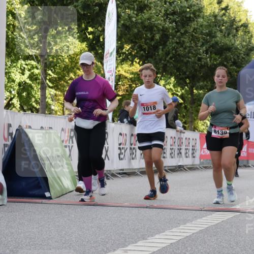 06.09.2026 - CURREX Alsterlauf Yannick Fuchs http://msf.ph/oto/10230343 06.09.2026 11:54:00 Ziel 1006, 1018, 1098, 1124, 1150, 1223, 1267, 1291, 1298, 1305, 8139, 8245 meine-sportfotos.de