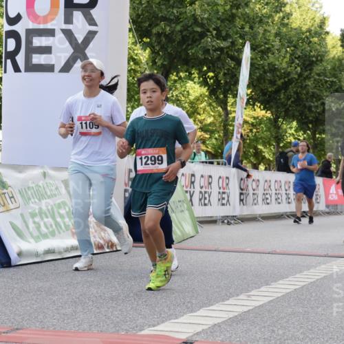 06.09.2026 - CURREX Alsterlauf Yannick Fuchs http://msf.ph/oto/10230694 06.09.2026 11:56:01 Ziel 1072, 1109, 1110, 1299, 1320, 1344, 8042, 8103, 8251, 8346 meine-sportfotos.de
