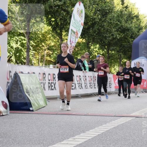 06.09.2026 - CURREX Alsterlauf Yannick Fuchs http://msf.ph/oto/10231028 06.09.2026 11:54:59 Ziel 1013, 1097, 1134, 1177, 1238, 1245 meine-sportfotos.de