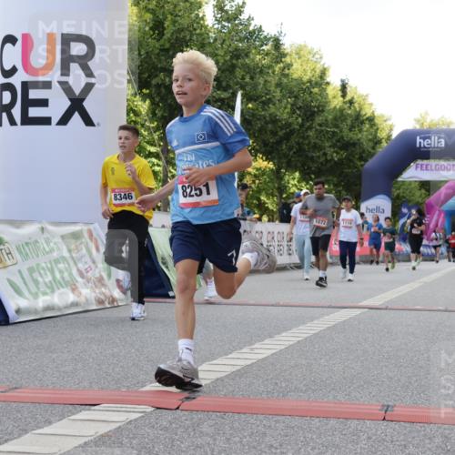 06.09.2026 - CURREX Alsterlauf Yannick Fuchs http://msf.ph/oto/10231204 06.09.2026 11:55:55 Ziel 1072, 1109, 1110, 1149, 1296, 1299, 1344, 8042, 8251, 8346 meine-sportfotos.de