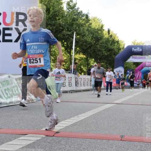 06.09.2026 - CURREX Alsterlauf Yannick Fuchs http://msf.ph/oto/10231205 06.09.2026 11:55:56 Ziel 1072, 1109, 1110, 1149, 1296, 1299, 1344, 8042, 8251, 8346 meine-sportfotos.de