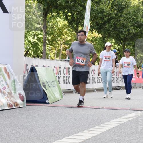 06.09.2026 - CURREX Alsterlauf Yannick Fuchs http://msf.ph/oto/10231210 06.09.2026 11:55:57 Ziel 1072, 1109, 1110, 1149, 1299, 1344, 8042, 8103, 8251, 8346 meine-sportfotos.de