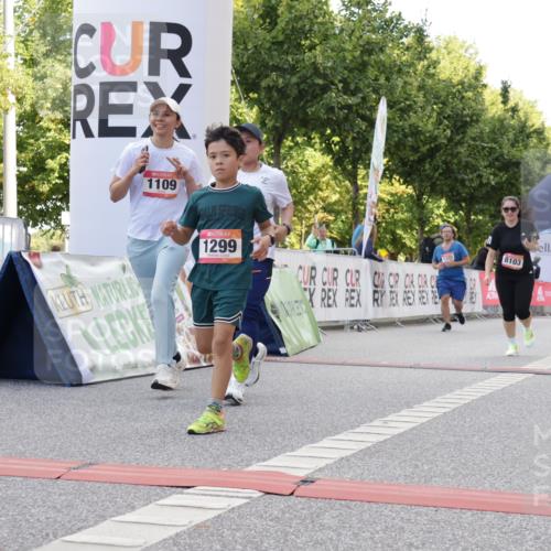 06.09.2026 - CURREX Alsterlauf Yannick Fuchs http://msf.ph/oto/10231224 06.09.2026 11:56:01 Ziel 1072, 1109, 1110, 1299, 1320, 1344, 8042, 8103, 8251, 8346 meine-sportfotos.de