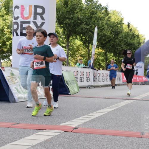 06.09.2026 - CURREX Alsterlauf Yannick Fuchs http://msf.ph/oto/10231225 06.09.2026 11:56:01 Ziel 1072, 1109, 1110, 1299, 1320, 1344, 8042, 8103, 8251, 8346 meine-sportfotos.de