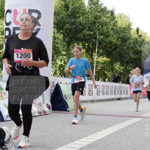 06.09.2026 - CURREX Alsterlauf Yannick Fuchs http://msf.ph/oto/10231701 06.09.2026 11:59:06 Ziel 1081, 1111, 1130, 1200, 1240, 1327, 1333, 8070 meine-sportfotos.de