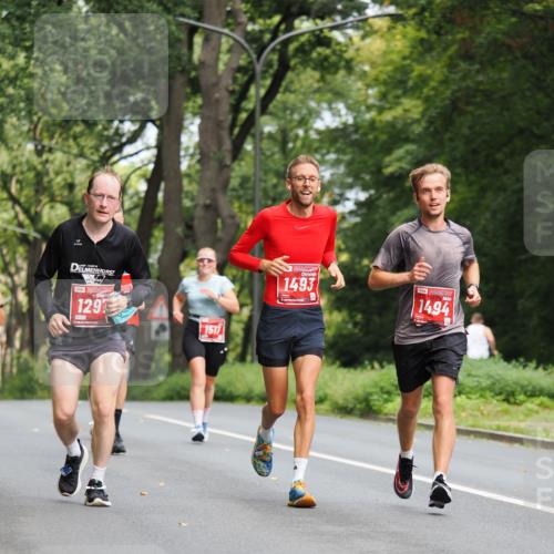 13.09.2026 - 21. swb-Marathon Bremen TobiasT http://msf.ph/oto/10243905 13.09.2026 11:43:46 Laufen 129, 1301, 1517, 1493, 1494 meine-sportfotos.de