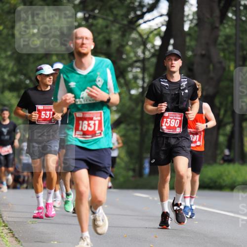 13.09.2026 - 21. swb-Marathon Bremen TobiasT http://msf.ph/oto/10244423 13.09.2026 11:49:29 Laufen 531, 1631, 1390, 191 meine-sportfotos.de