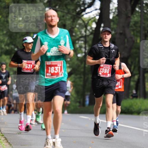 13.09.2026 - 21. swb-Marathon Bremen TobiasT http://msf.ph/oto/10244426 13.09.2026 11:49:29 Laufen 531, 1631, 1390, 31 meine-sportfotos.de