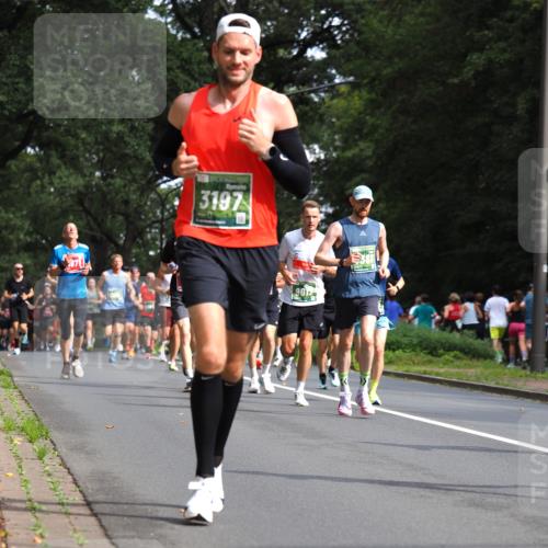13.09.2026 - 21. swb-Marathon Bremen TobiasT http://msf.ph/oto/10244729 13.09.2026 11:51:36 Laufen 3197, 90 meine-sportfotos.de