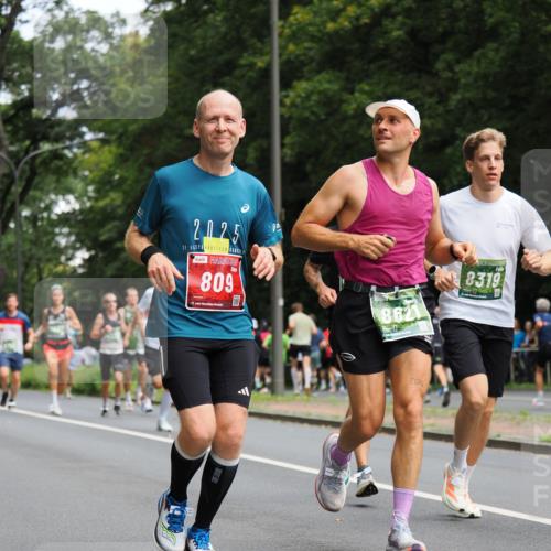 13.09.2026 - 21. swb-Marathon Bremen TobiasT http://msf.ph/oto/10244898 13.09.2026 11:53:03 Laufen 2025, 39, 809, 21, 8621, 8319 meine-sportfotos.de