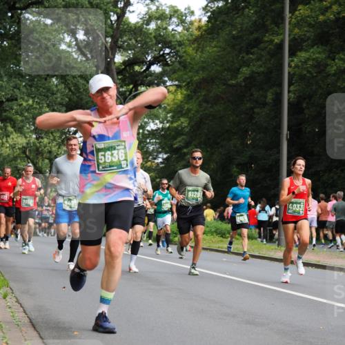 13.09.2026 - 21. swb-Marathon Bremen TobiasT http://msf.ph/oto/10244957 13.09.2026 11:53:31 Laufen 9092, 5636, 9129, 523, 4033 meine-sportfotos.de
