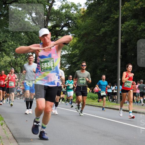 13.09.2026 - 21. swb-Marathon Bremen TobiasT http://msf.ph/oto/10244962 13.09.2026 11:53:31 Laufen 1679, 9092, 5636, 9129, 4033 meine-sportfotos.de