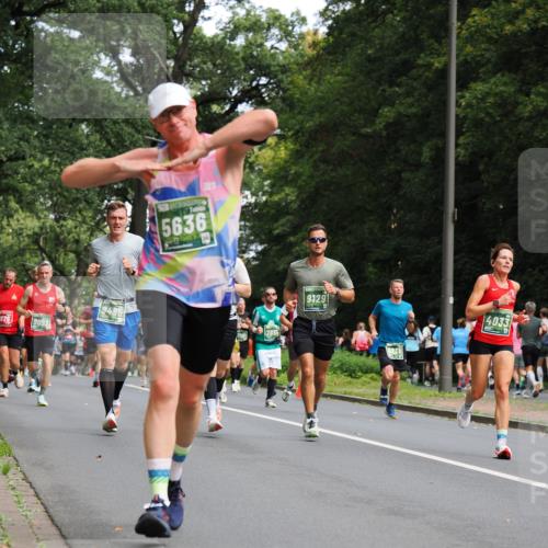 13.09.2026 - 21. swb-Marathon Bremen TobiasT http://msf.ph/oto/10244968 13.09.2026 11:53:31 Laufen 9092, 5636, 7655, 9129, 5238, 4033 meine-sportfotos.de