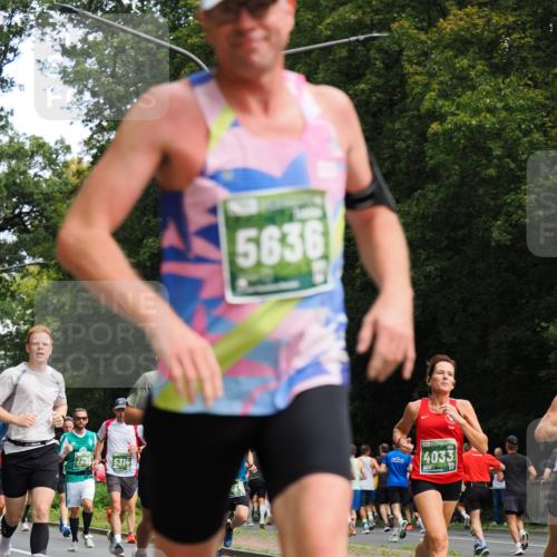 13.09.2026 - 21. swb-Marathon Bremen TobiasT http://msf.ph/oto/10244978 13.09.2026 11:53:33 Laufen 5636, 765, 5314, 4033 meine-sportfotos.de