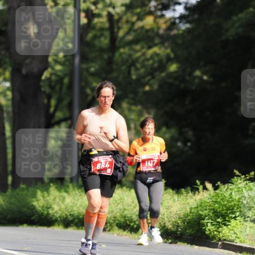 13.09.2026 - 21. swb-Marathon Bremen TobiasT http://msf.ph/oto/10251651 13.09.2026 12:46:18 Laufen 664, 1137 meine-sportfotos.de